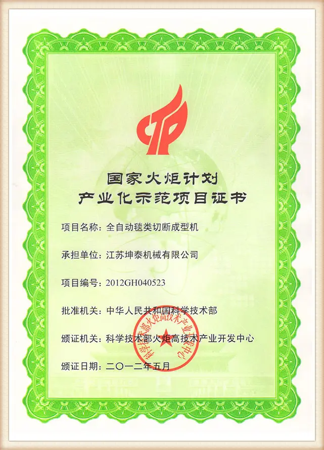 National-Torch-Programnzp