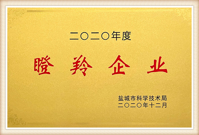 Yancheng Gazelle Enterprise5cs